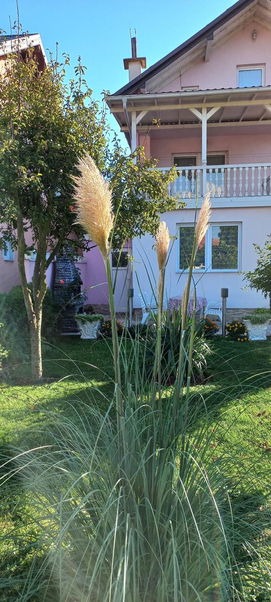 Holiday Home Peaceful Retreat فيسوكو المظهر الخارجي الصورة